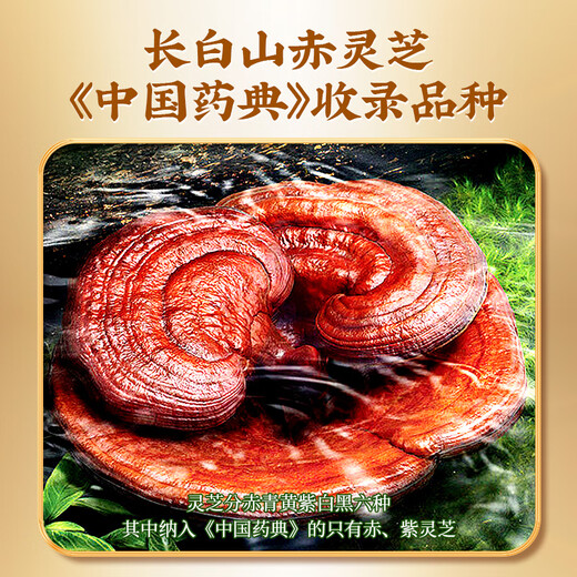 Beijing Tongrentang Break Wall Ganoderma Lucidum Spore Powder Changbaishan Ganoderma Lucidum Powder Adults Middle-aged and Elderly Enhanced Immunity Tonic Health Products Blue Hat