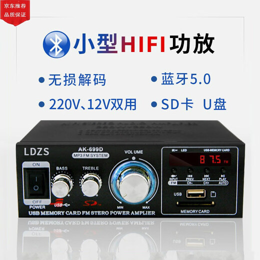 遥绾惜大功率迷你小型功放机 家用车载220v发烧hifi音响蓝牙插卡公放机 698A无蓝牙功放机