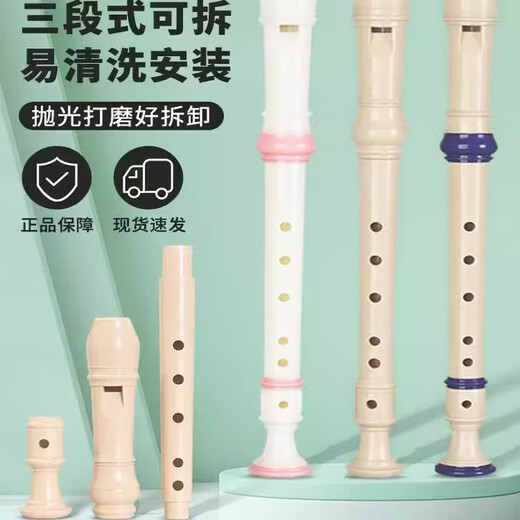 Flûte à bec de style allemand à 6 trous et 8 trous pour élèves du primaire avec six trous à huit trous pour enfants adultes flûte anglaise GF instrument aigus de style allemand Maca violet 6 trous + sac en tissu