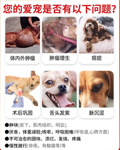 SF Express Yidong Keliukangtai Tablets for Pet Cats and Dogs General Oral Breast Skin Tumor Cauliflower Tumor Hyperplasia Liver and Gastric Tumor Solid Tumor Auxiliary Tablets Keliukangtai Tablets 40 Tablets/Box Anti-Counterfeiting Checkable