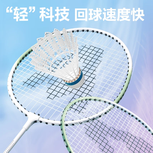 得力（deli）羽毛球拍套装初学者入门级成人专业耐打羽毛拍女生合金超轻正品 尊贵专业级 贈尼龙球3个