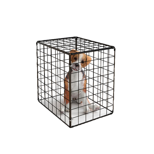 Cat Cage Home Super Large Free Space Cat Nest Dog Cage Puppy Cage Six Sides Portable Folding Pet Cage Black 30*30*20cm 6Jin Jin equals about 0.5kg