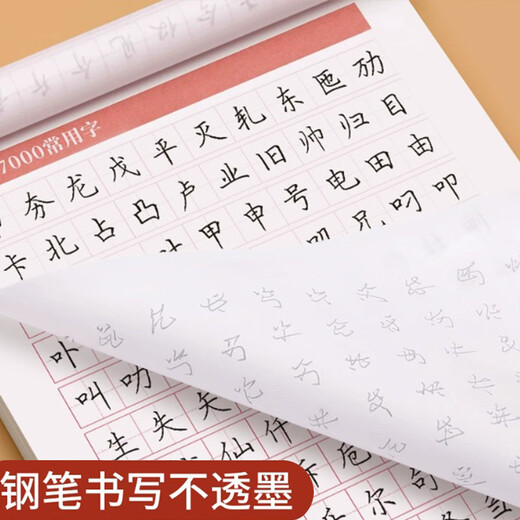 Liupintang Regular Script Practice Copybook Copying a Complete Set of Adult Regular Script Introductory Basic Training Calligraphy Artifact for Adult Boys and Girls Fonts Beautiful Control Pen and Brush Order Fountain Pen Copybook