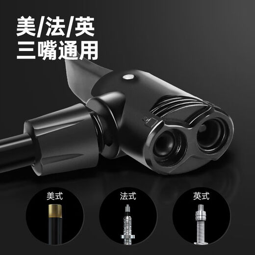 Permanent pump bicycle household high-pressure motorcycle inflatable electric vehicle car basketball universal trachea portable