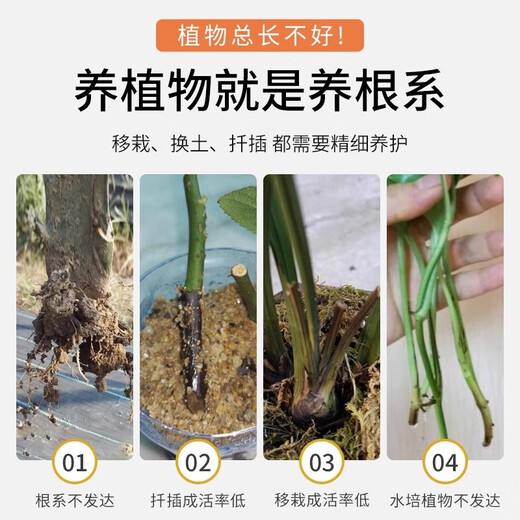 Guoguang Genpan 5% indolinacetic acid rooting and seedling strengthening agent plant universal transplanting rooting agent cutting powder liquid pesticide 25ml