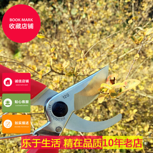 Pruning shears Alice 120DX scissors pruning shears fruit tree scissors Alice pruning shears 120dx a box of 5