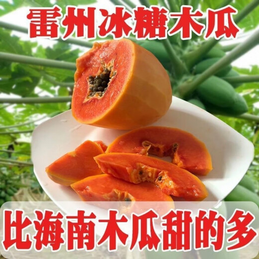Red papaya, grown in the south for four seasons and bearing annual fruit, potted dwarf Hawaiian red-fleshed fruit papaya (newly planted this year), red papaya seeds, crispy and sweet, 1 pack of approximately 25 seeds