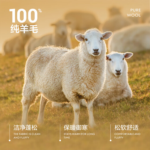 Heilan House (HLA) Wool Sweater Men's Light Business Pure Wool Warm Sweater Men's Spring and Autumn Wilderness Maillard HNZAW3W023A Black F9 L 175/92A Recommended 137~150Jin Jin equals 0.5 kg