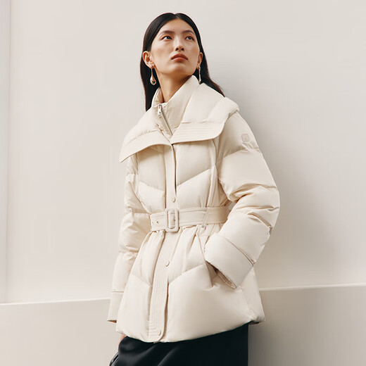 Ai Lai down jacket women's autumn and winter temperament short 90 goose down waist warm winter jacket milk gray rice S
