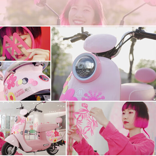 AIMA Luna 2025 version long-range electric car for women, fashionable adult mobility smart electric moped Luna/Youyue Dudu Pink Petal Hub + 1000W Motor