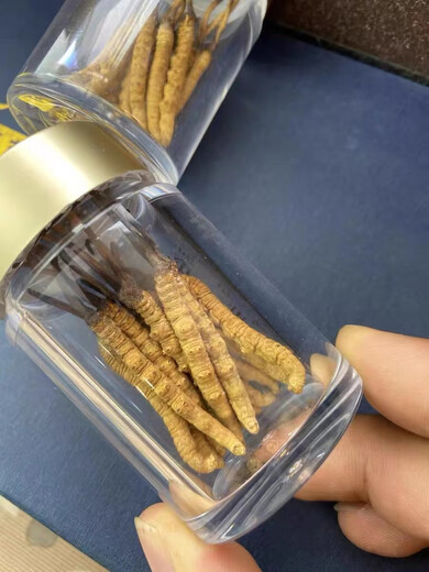 Eryabei Authentic First Cordyceps Cordyceps Reinigen großen echten frischen Cordyceps 2025 ausgewählte Trockenwaren Cordyceps 30 große High-End-Acrylflaschen