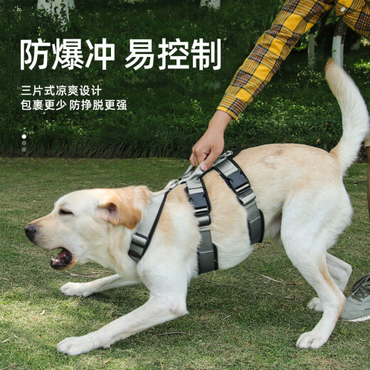 LOVINGPET dog harness for going out, medium and large dog harness, dog pet harness, golden retriever Labrador harness, anti-breakaway gray S recommended 20-40Jin [Jin equals 0.5kg] polyester