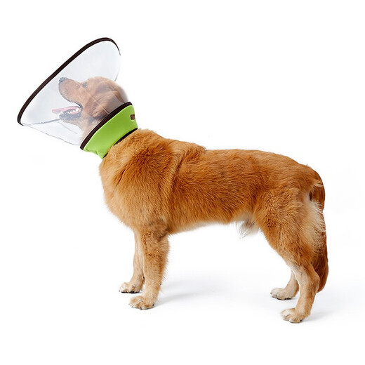 DogLemi dog lengthened and deepened Elizabethan collar large dog collar golden retriever Alaska anti-bite and anti-lick collar dog green XXXL code (Alaska golden retriever large dog)