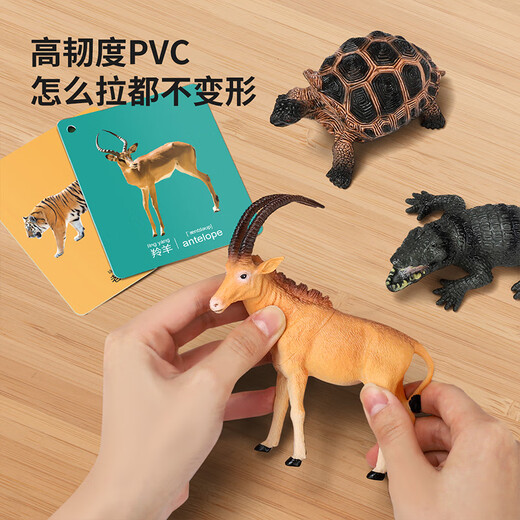 Newkey Children's Toys Simulation Animal Model Bunny Boys and Girls Wild Animal World Awareness Card Set