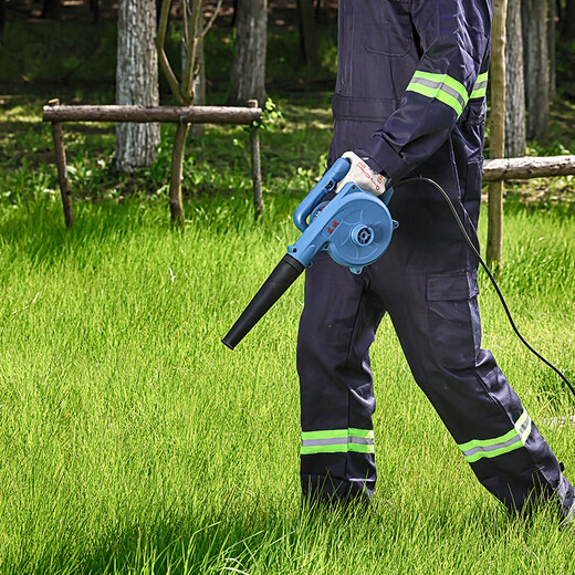 Dongcheng hair dryer WQF680-32 high-power powerful dust removal fan industrial-grade hair drying power tool