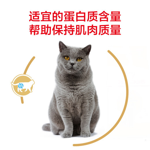Royal Dad Royal Adult Cat Food BS34 British Shorthair Cat Special Blue Cat Beauty Short Food Fattening Hair and Cheeks Full Price 2k 342kg bs