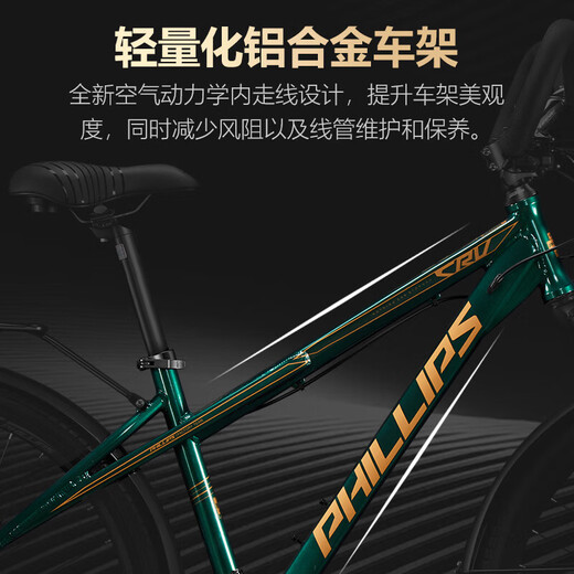 菲利普山地车长途旅行自行车成年人700c公路车川藏线越野变速公路山地车 CRV神秘灰【蝴蝶把-可锁前叉】 33速【油碟】27.5寸