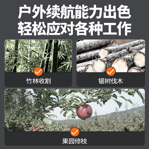 JIAPU electric chainsaw, rechargeable logging saw, household sawing, lithium-ion single-hand wood sawing tool, small handheld electric chain saw, imported 4-inch 72800H+2 chain, one electric, brushless