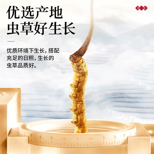 Lei Yunshang [Official] Cordyceps sinensis high-end gift box high-end supplements for gifts for elders and parents gift box Father's Day gift [Cordyceps nourishes, Kangtai Yongsui] High cost-effectiveness for self-use-10g pack of broken grass