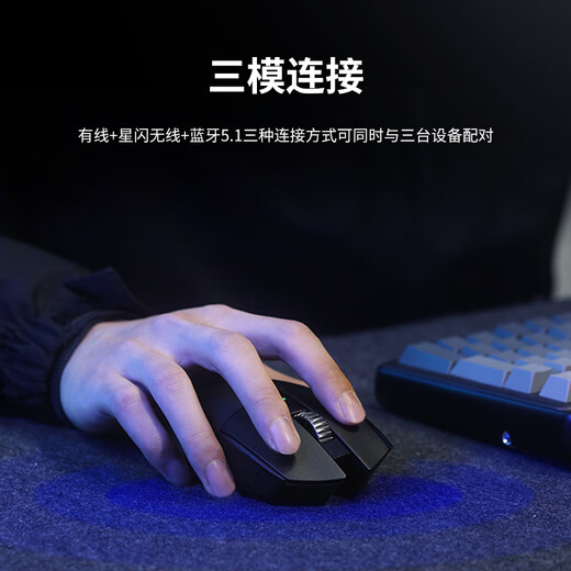 达尔优A980Pro/ProMax大手鼠标三模连接P3950定制芯片电竞游戏鼠标星闪有线8Khz无线4K回报率中大手模具 A980Pro黑色（AIM-750U）