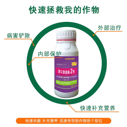 Imported No. 2 anthracnose fungicide, pepper, cucumber, tomato, watermelon, grape and strawberry anthracnose special medicine 1 bottle 500g/bottle
