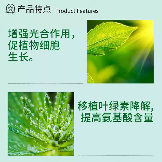 Guoguang Guoguang Huasi 2% benzylaminopurine cytokinin flower and fruit tree flower bud-preserving flower and fruit regulator Guoguang Huasi 25mlx1 bottle
