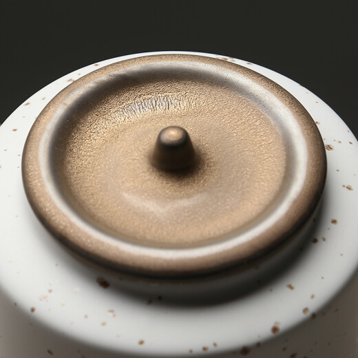 SUSHICERAMICS tea can, fashionable matte rust tea set accessories (white)