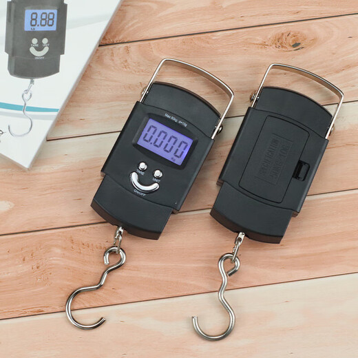 Ogilvy portable electronic scale portable gram weight scale home weighing vegetable courier crane scale high precision compact 50kg