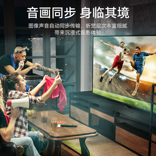 Shengwei (shengwei) DP-Kabel Version 1.2 4K HD Stecker-zu-Stecker 2K/144Hz Verbindungskabel Desktop-Computer Grafikkarte Notebook-Anschluss Monitor Videokabel 1,5 Meter ADD0015G