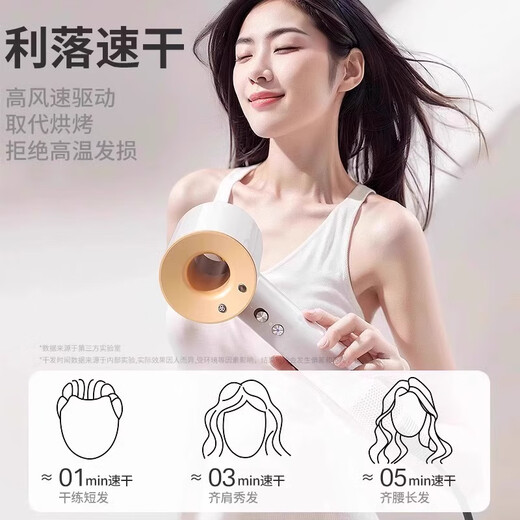 Leifen official website Leifen high-speed hair dryer household negative ions 2024 Leifen hair dryer hair care hotel strong wind quick drying 6-year warranty 30 days no reason rose red - single nozzle 1.8 meters + hanger