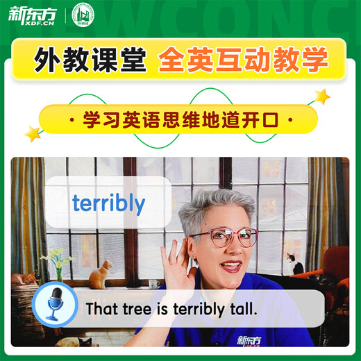 新东方新概念教材1、2英语系统网课中教+外教+ai 视频课录播课零基础入门自学 【送语法课+1年伴学营】新概念2册+4本练习册