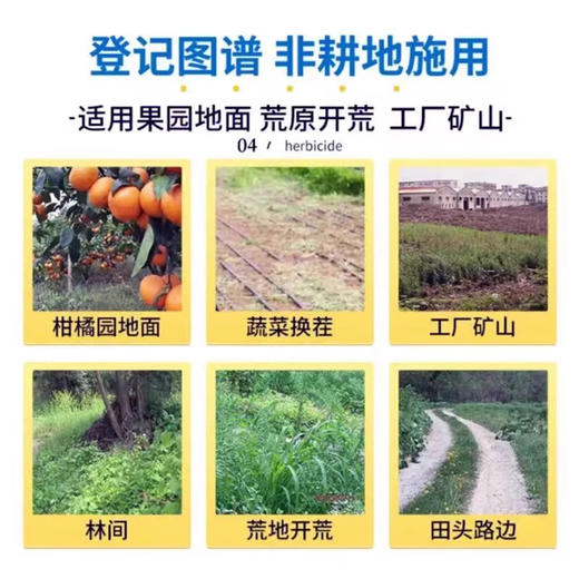 Precise glufosinate ammonium salt high concentration orchard wasteland root rot herbicide cowgrass small flypong garden pesticide 5kg (1 barrel)