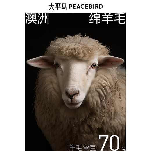 PEACEBIRD Men's Heavyweight Loose Woolen Coat Mid-Length Winter Wool Coat Trendy Black Gray First Batch XL