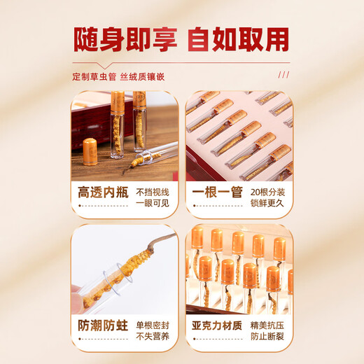 Juhetai First Cordyceps Spring Festival Geschenkbox 3/G 50 Neujahrsgeschenkbox Neujahrsgeschenkschachtel Neujahrsgeschenkschachtel 4/G 20-5G [Titel empfohlen]