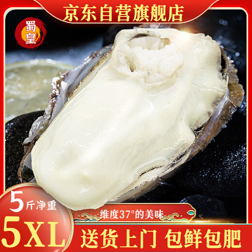 Shuhuang Rushan Oysters Fresh Large Seafood New Year Products 5Jin Jin is equal to 0.5kg, net weight 5XL (8-12 pcs), only shipped directly from the source, free shipping
