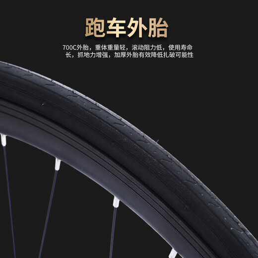 飞鸽（FLYING PIGEON）公路车自行车男女学生成人跑车变速公路赛单车竞速赛车可改实心胎 黑色/30刀/辐条轮 700C 21速高配
