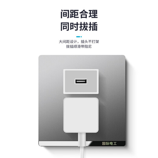 国际电工开关插座面板灰色家用86型墙壁暗装双控五孔带开关USB电源5孔插座 五孔插座(10A)