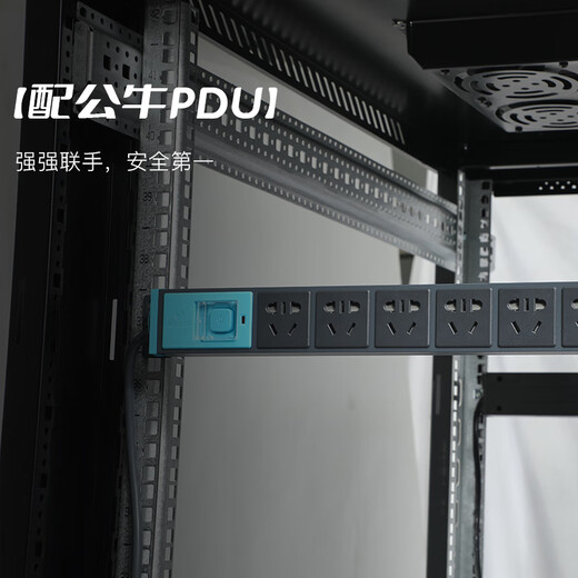 Totem Bodyguard 22U network server cabinet G3.6622.EA thickened steel 19-inch government and enterprise projects send Bull 8-port PDU free silk screen G3.6822 (600 width * 800 depth) 1.2 meters 24U