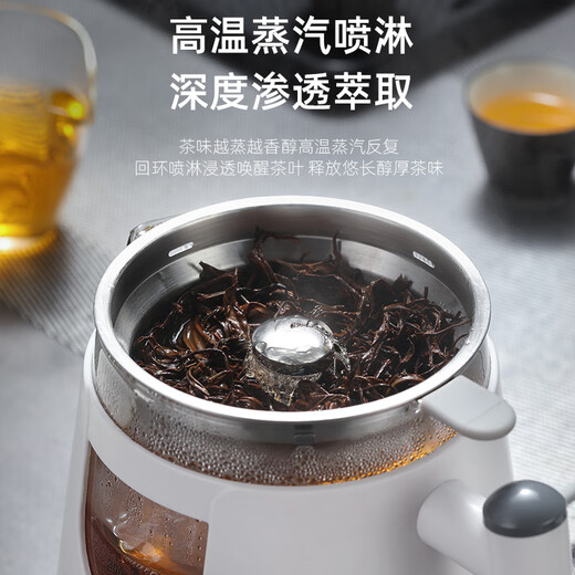 Biooner tea kettle, spray type tea kettle, steam type black tea kettle, office home kettle, mini health pot flower tea kettle, white (basic model) 0.8L