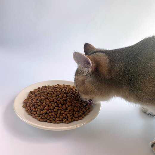 OIMG A-Xing No. 1 Vegan General Cat Food for Kittens, Wheat-flavored Seaweed Flavor, Easy to Digest, Bright Fur Balls, Zhaifo Temple No. 1 Wheat-flavored Seaweed Cat Food, 5 Jin Jin equals 0.5 kg (1 bag)