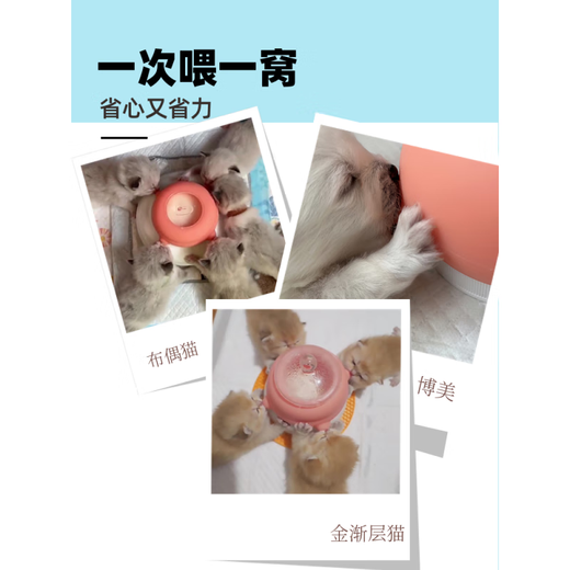 CLCEY Kitten Automatic Breastfeeding Kit Kitten Bionic Pacifier Breastfeeding Bottle Multi-cat Self-service Milk Drinking Artifact Green Recommended for kittens 0-30 days old