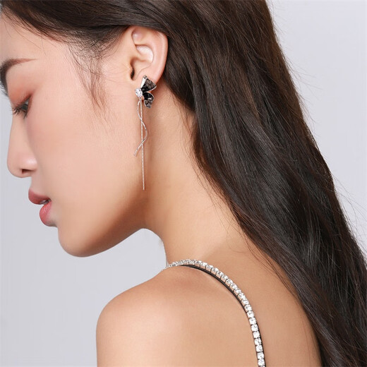 Qlady Gradient Butterfly Tassel Earrings Women's 2025 Temperament High-end Silver Needle Earrings Niche Earrings Birthday Gift