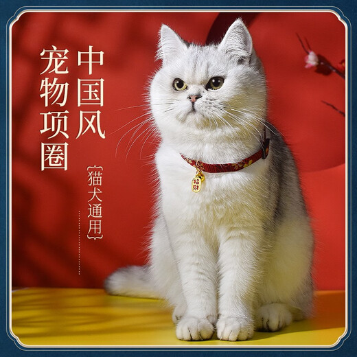 Qi Oh cat collar bell New Year cat and kitten neck jewelry pet kitten collar blue cat and dog decorative necklace red Chinese style to attract wealth and blessings