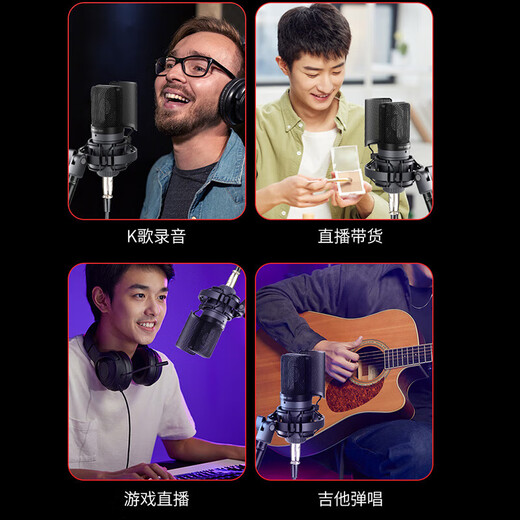 TAKSTAR GL1 condenser microphone computer recording mobile phone live broadcast external sound card equipment set GL1 + large cantilever bracket + pop-up cover