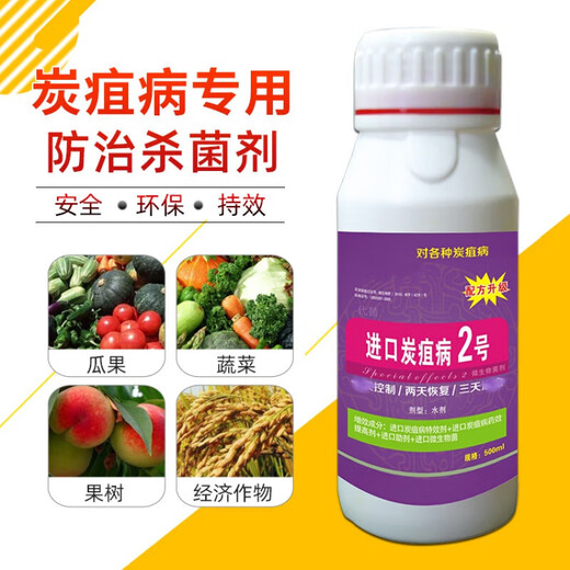 Imported No. 2 anthracnose fungicide, pepper, cucumber, tomato, watermelon, grape and strawberry anthracnose special medicine 1 bottle 500g/bottle