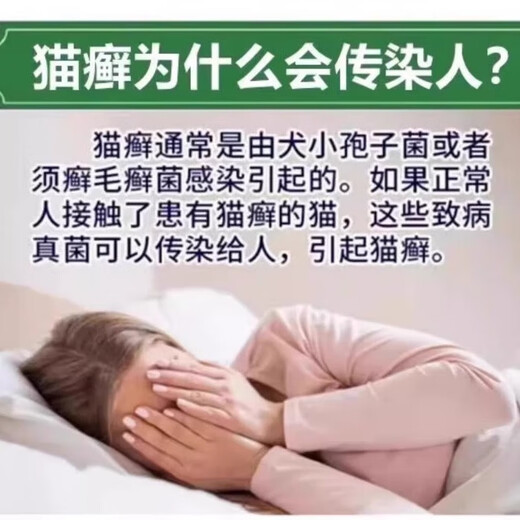 Qiancao Benyuan cat ringworm special cream for human use cat moss fungal bacterial infection body cat ringworm ringworm removal cream anti-allergic, anti-itching and antibacterial cream one box trial pack