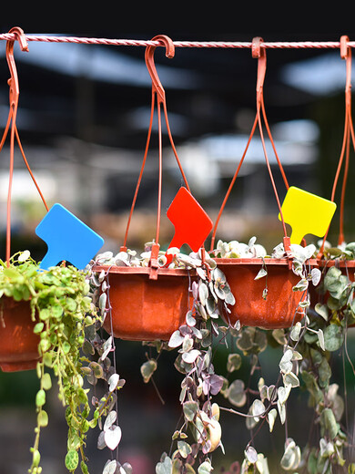 Gardening label plastic ground waterproof plug-in succulent plant T-type 1-type hanging tag flower potted small succulent label 3 colors 30 pieces