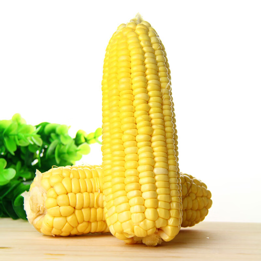 About 300g yellow sweet corn for one person