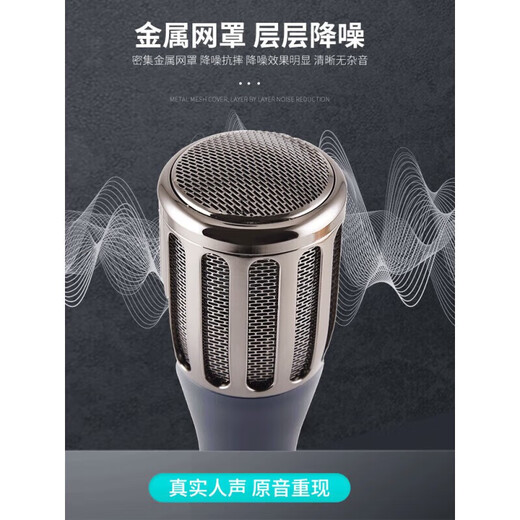 韩湘子(防伪可查询)有线48v电容麦克风话筒录音直播声卡K歌专用 韩湘子 5010