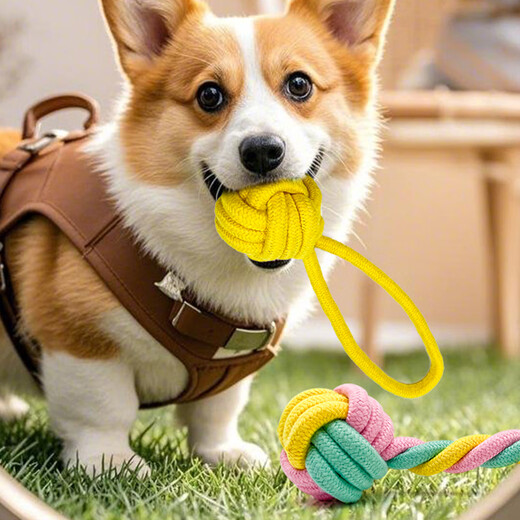 ZanChong Macaron Cotton Knot Dumbbell Ring Set Pet Supplies Puppies and Dog Toys Resistant to Bite and Molar for Self-pleasure